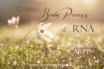 body process