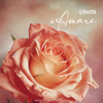libertà di amare