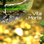 vita